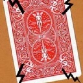 Carta Magnetica Bicycle