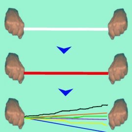 Nº 245 Cuerda Trasformación