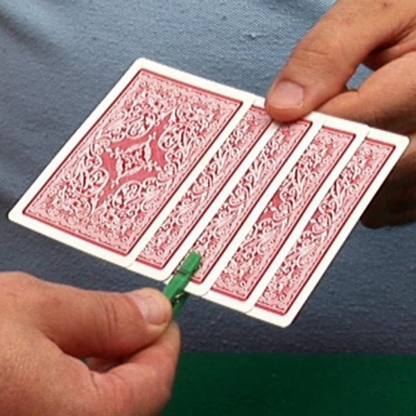 339282604