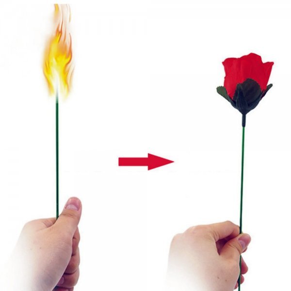 De Antorcha a Rosa