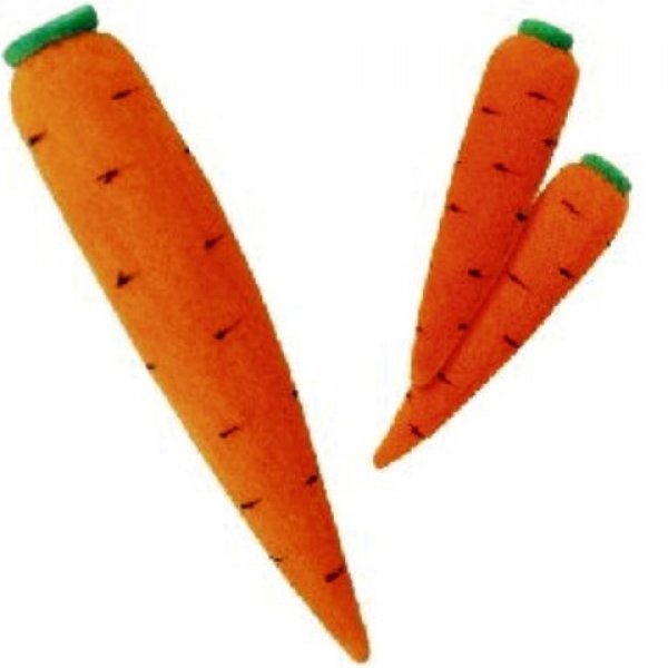 Multiplicación de zanahorias